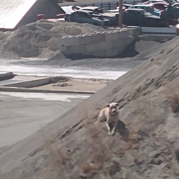 Meet your Posher, Kim - Picture 4 of 9